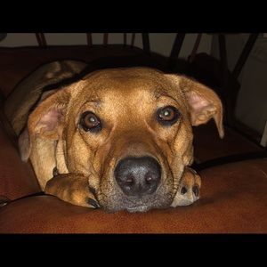 Meet your Posher, Beth